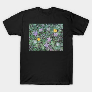 'Dandelions & Clover (Ground Cover #2)' T-Shirt